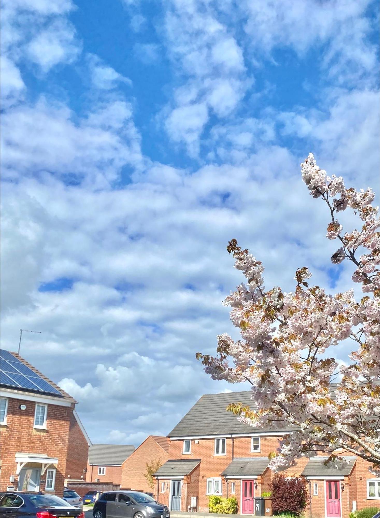 Free Private Parking! Oakley House And Garden! Fully Equipped 4 Comfy Beds Vila Corby Exterior foto